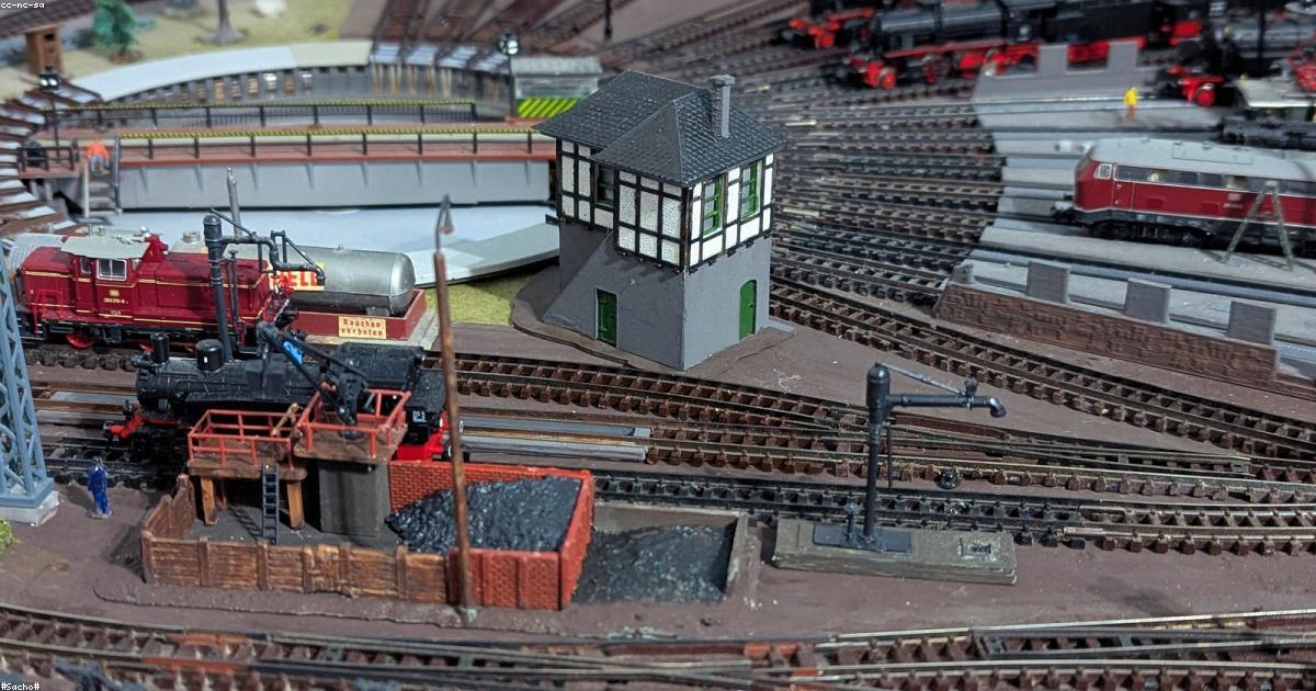 Observação de fauna: Animais silvestres