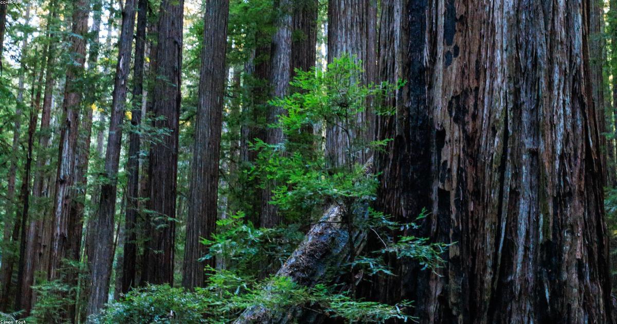 Equipamentos de trilha: O que levar