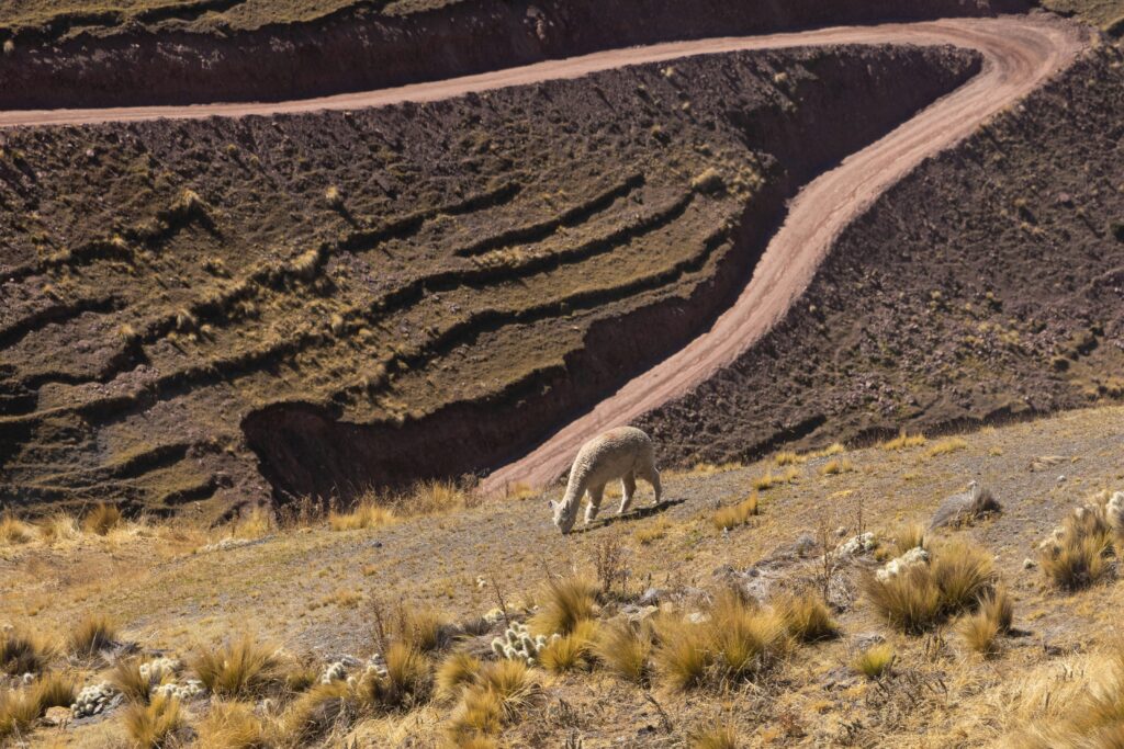 Aventura e aprendizado em centros de educação ambiental