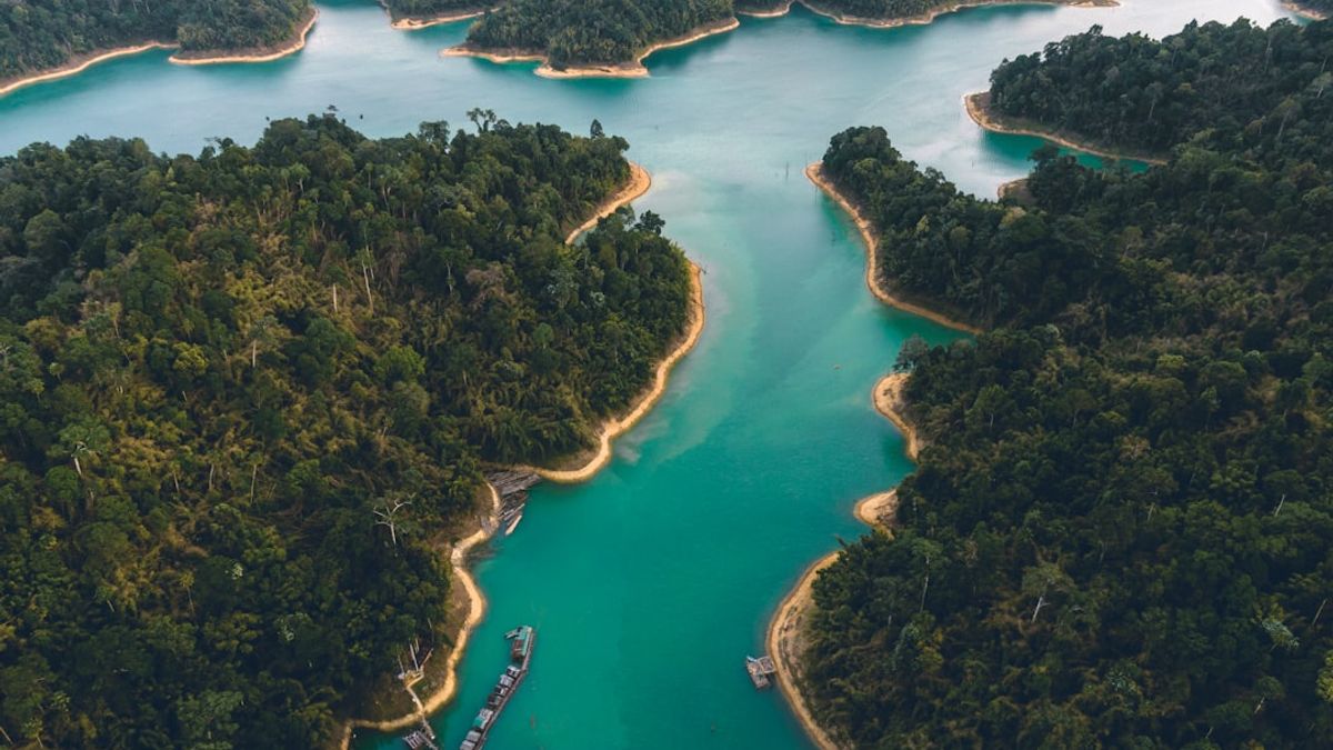 O Brasil abriga diversas iniciativas de turismo regenerativo que têm ganhado reconhecimento internacional.