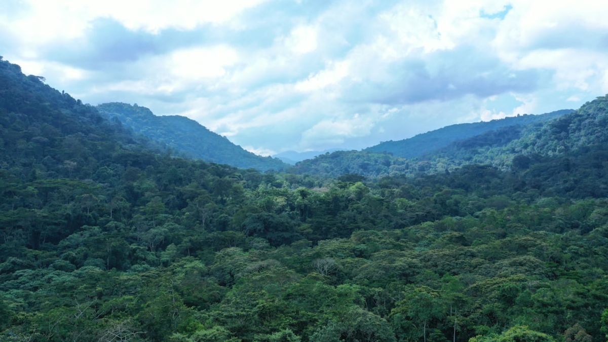 O papel do ecoturista é fundamental na preservação das Unidades de Conservação.