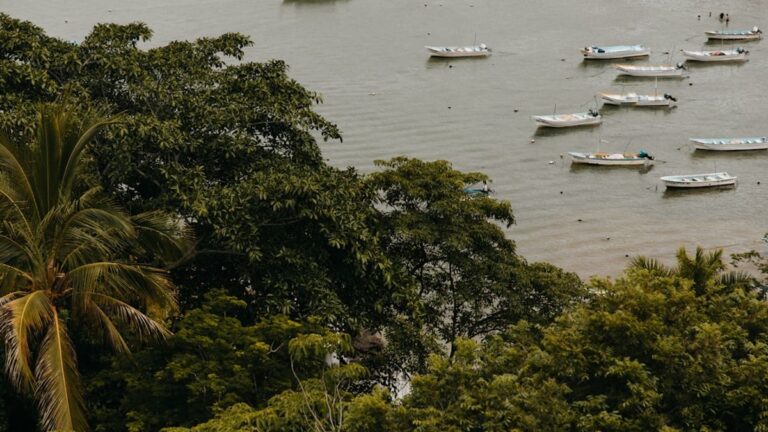 Grupo de turistas interagindo com membros de uma comunidade tradicional brasileira em meio a uma paisagem natural exuberante, simbolizando o turismo de base comunitária.