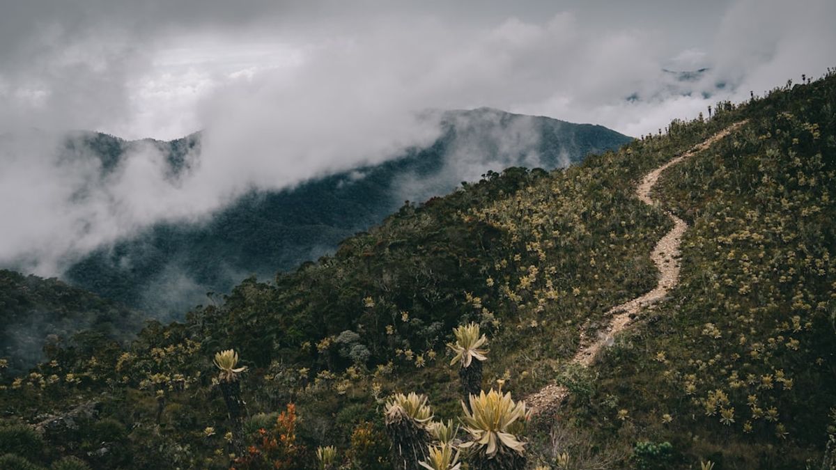 As Trilhas de Longo Curso no Brasil são caminhos extensos que oferecem aos aventureiros a oportunidade de explorar a rica biodiversidade e o patrimônio cultural do país.
