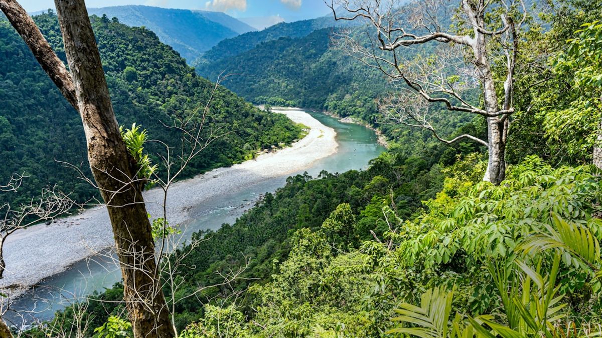 O conceito de turismo regenerativo está ganhando força como uma evolução natural do turismo sustentável.