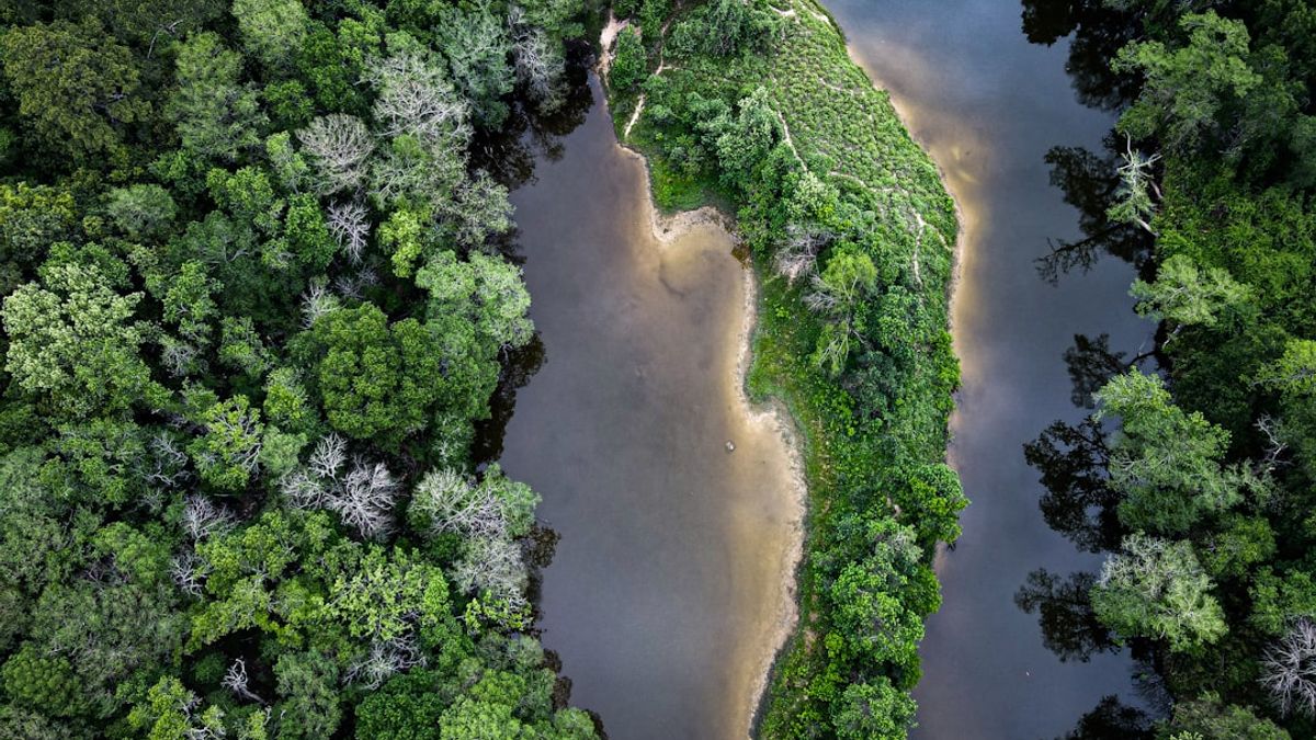 O futuro do ecoturismo no Pantanal está repleto de oportunidades.