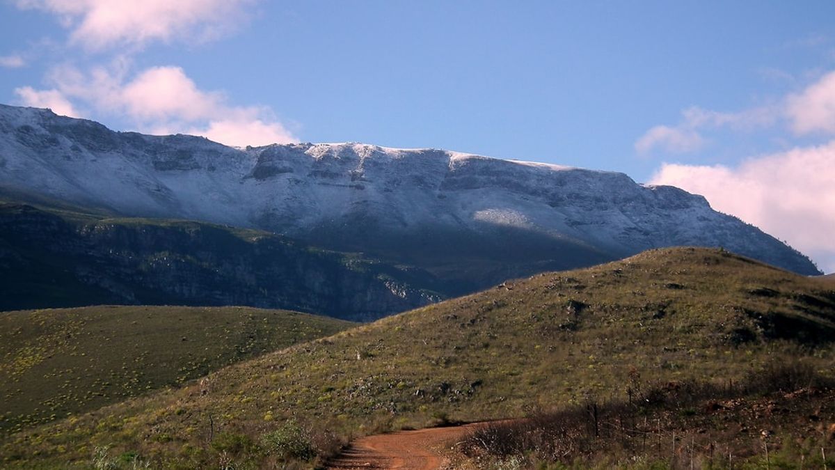 O trail running tem ganhado popularidade entre aqueles que buscam desafios em meio à natureza.