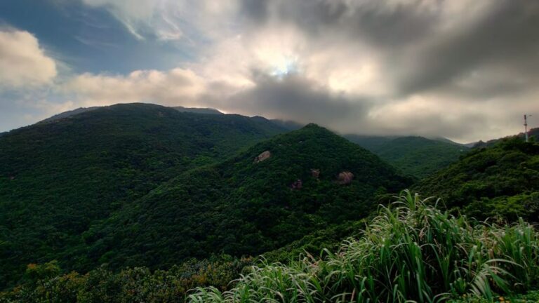 Trilha em meio à floresta exuberante de um Parque Nacional brasileiro, com rios e montanhas ao fundo, simbolizando a conexão entre ecoturismo e a preservação das Unidades de Conservação.