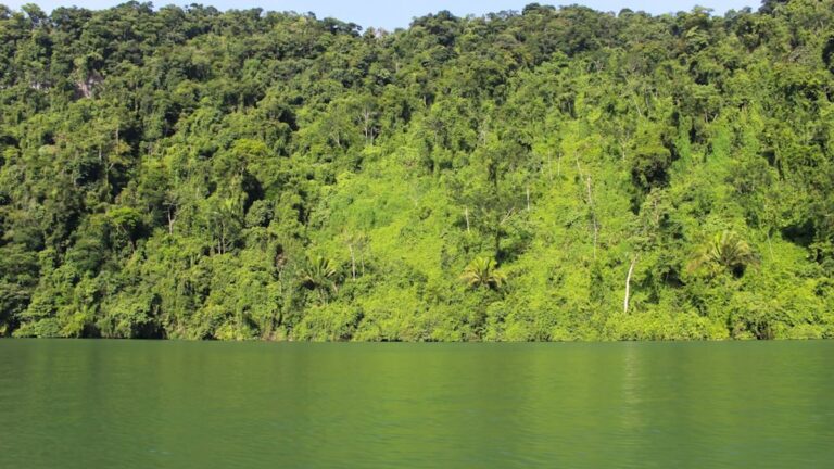 Turista interagindo de forma respeitosa com uma comunidade indígena em uma floresta exuberante no Brasil, simbolizando o turismo regenerativo.