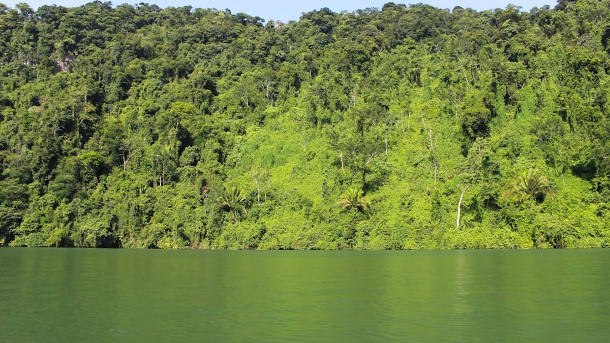 Turista interagindo de forma respeitosa com uma comunidade indígena em uma floresta exuberante no Brasil, simbolizando o turismo regenerativo.